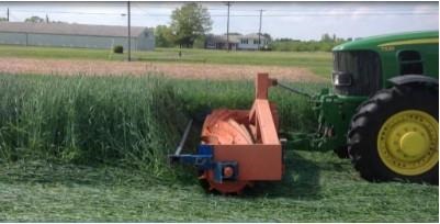 Terminating A Cereal Rye Cover Crop – Things To Consider